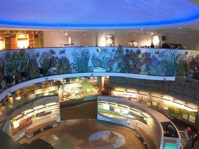 Flint Hills Discovery Center - Image 2