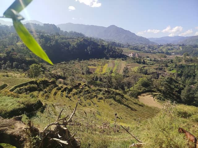 इखाफाँट - Image 1
