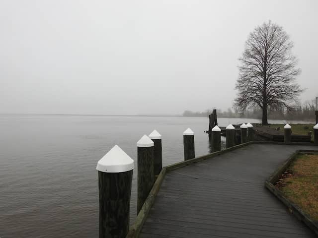 Vienna Waterfront Park - Image 1