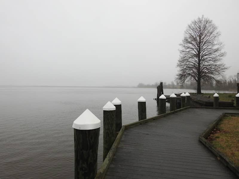 Vienna Waterfront Park - Image 1