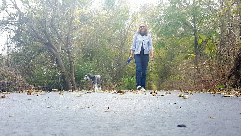 Nickel Plate Rail Trail - Image 1