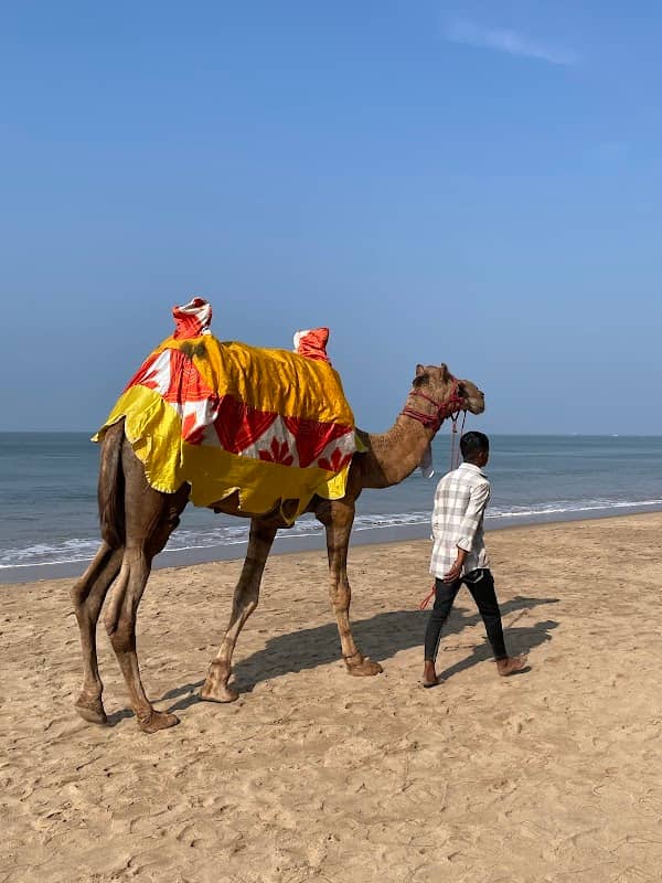 Horse Ride - Image 1