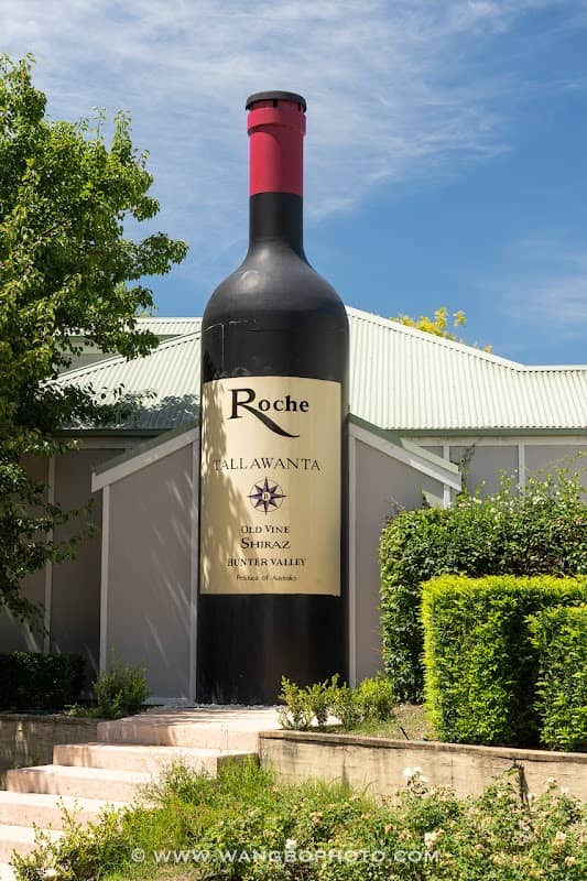 The Big Wine Bottle - Image 1