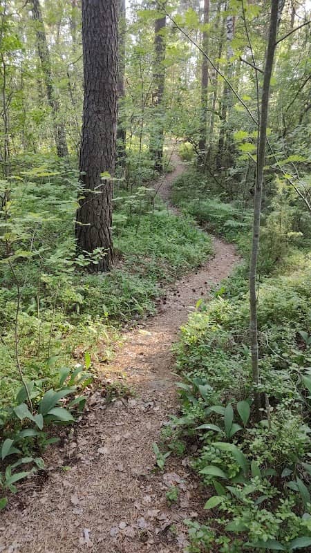 Pajulanpuisto - Image 1