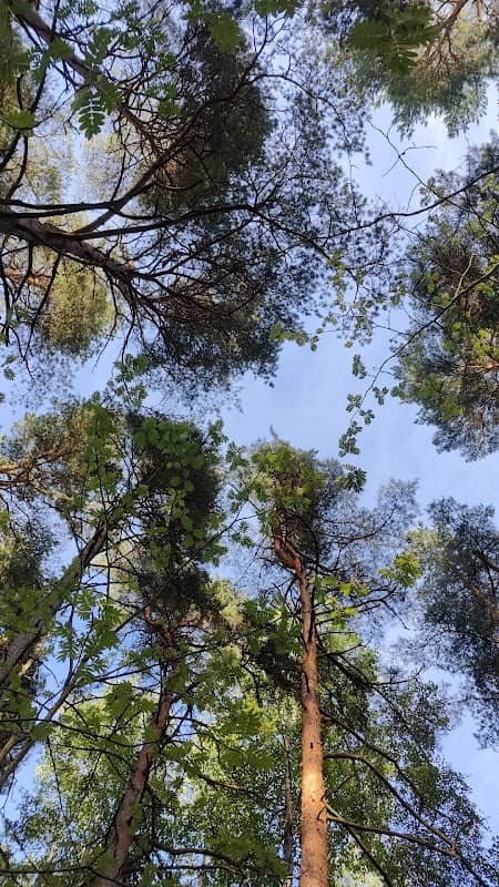 Pajulanpuisto - Image 2