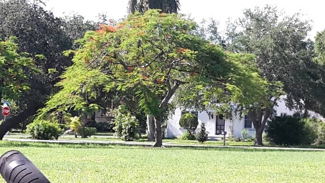 Seminole Park - Image 1