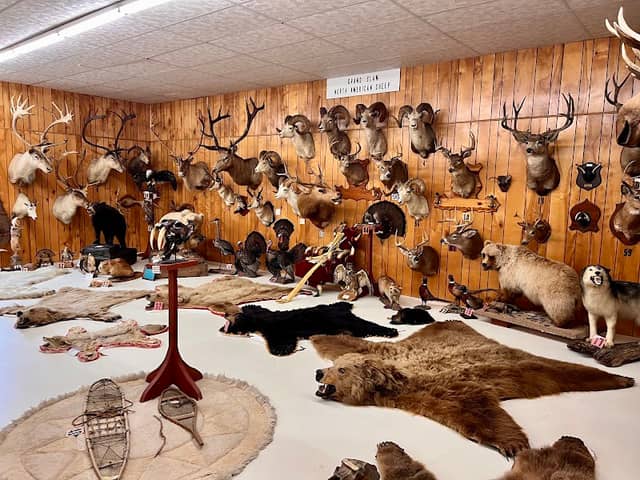 Jeff Matthews Museum - Image 1