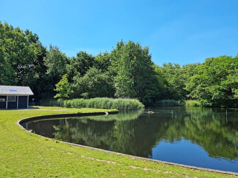 Merenwijk Park - Image 1