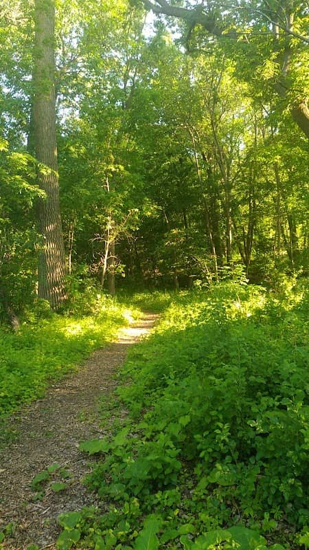 Canyon Ground Trail - Image 3