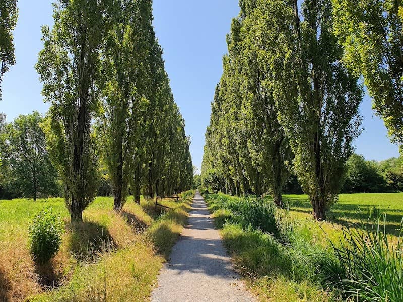 Bosco della Besozza - Image 1