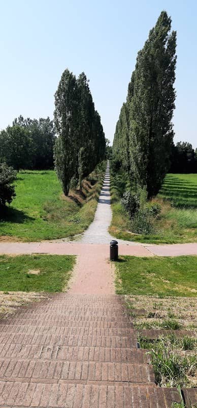 Bosco della Besozza - Image 2