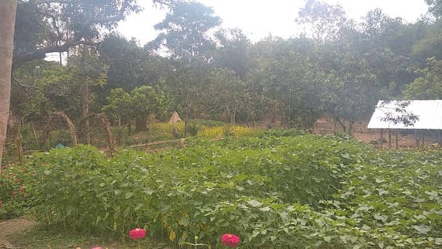 Taman Arjan - Image 1