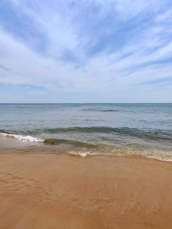 Plum Island Beach - Image 1
