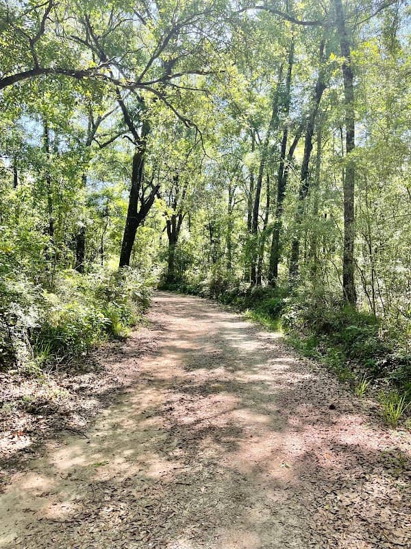 Jacinto Port Tract - Image 2
