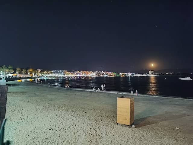 Peace Park - Image 2