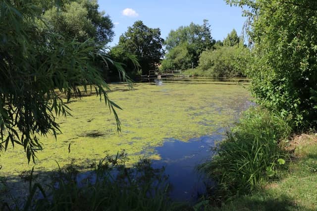 Eisweiher, kleiner See - Image 1