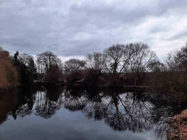 Eisweiher, kleiner See - Image 2