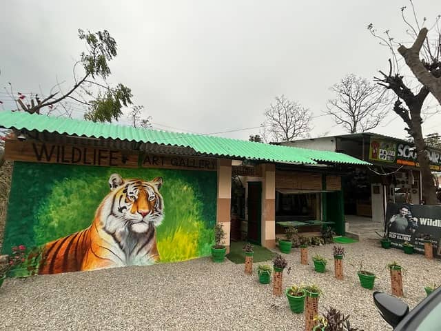 Wildlife Art Gallery - Image 1
