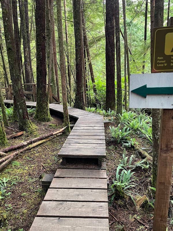 Rainforest Trail - Image 3