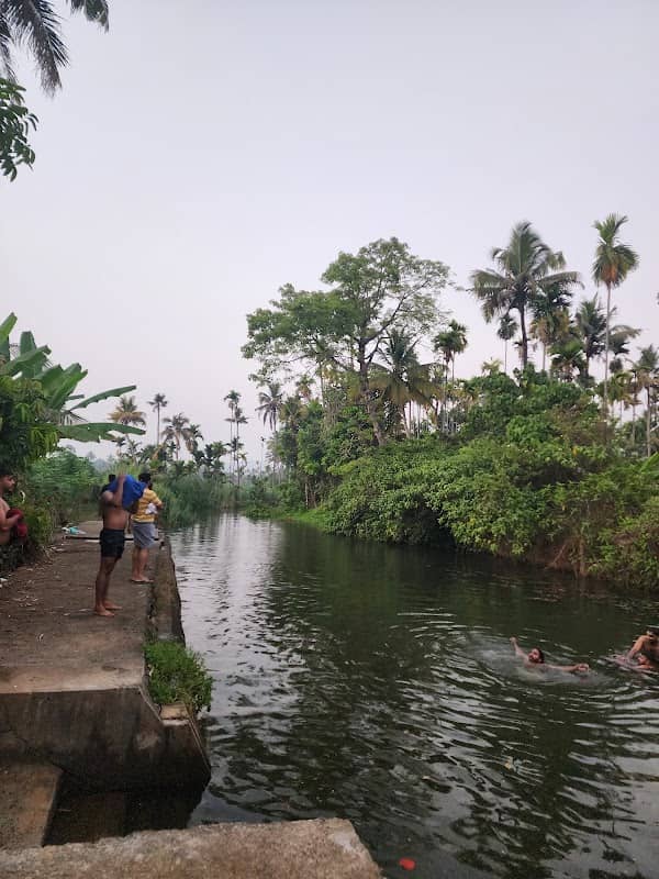 Mini dam manjapara - Image 1