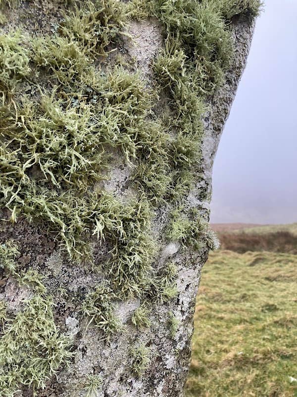 Brevig Standing Stone - Image 2