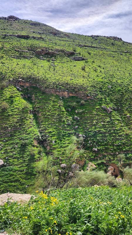 بدر الجديدة رحلة - Image 1