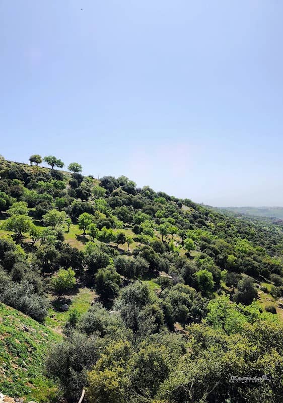 بدر الجديدة رحلة - Image 2