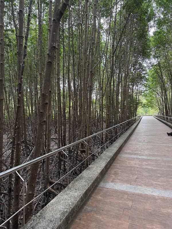 Saphan Hin Park - Image 2