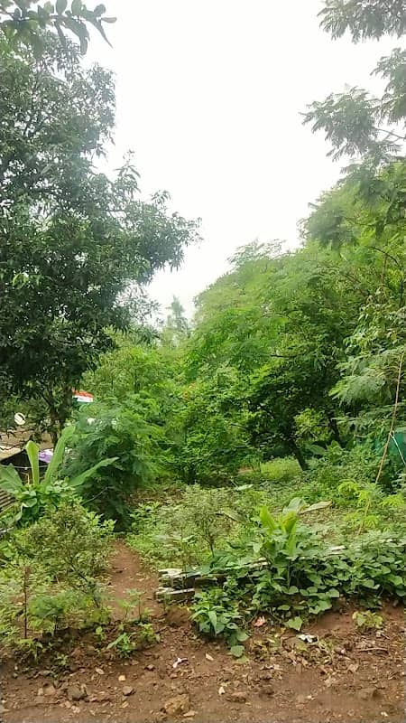 Koti Pada - Image 2