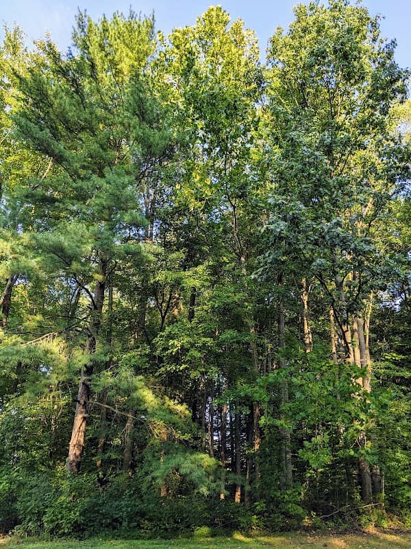 Devon Park - Image 1