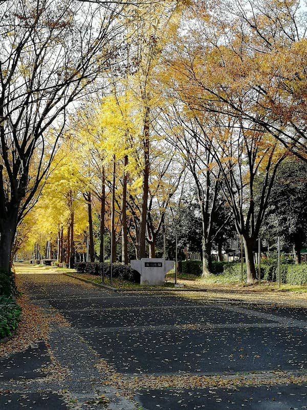Inaeihigashi Park - Image 2