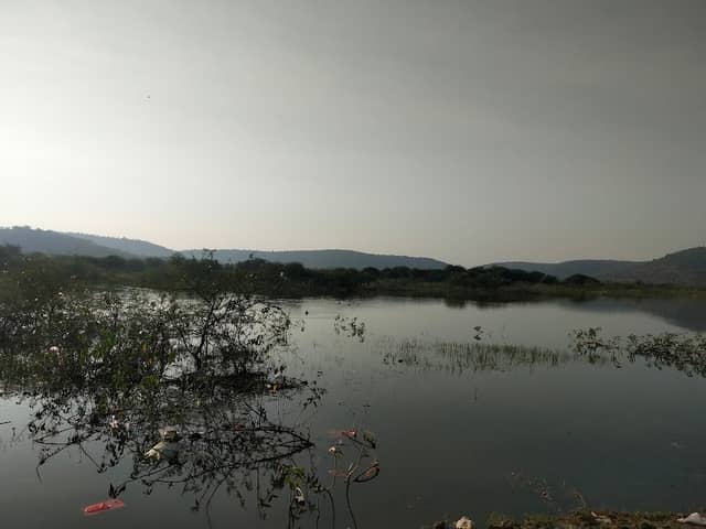 Bird Watching Spot, Chhatri Talao, BhaNkhed Road, Amravati - Image 1