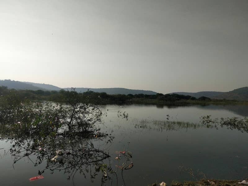 Bird Watching Spot, Chhatri Talao, BhaNkhed Road, Amravati - Image 1