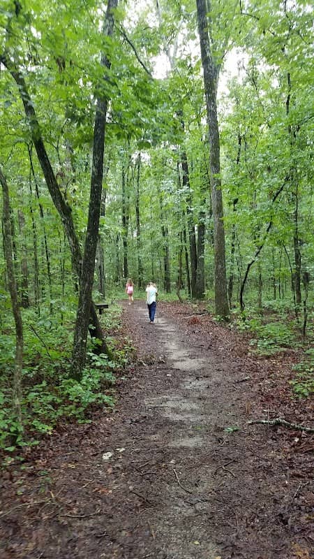 Pirate Trail - Image 1