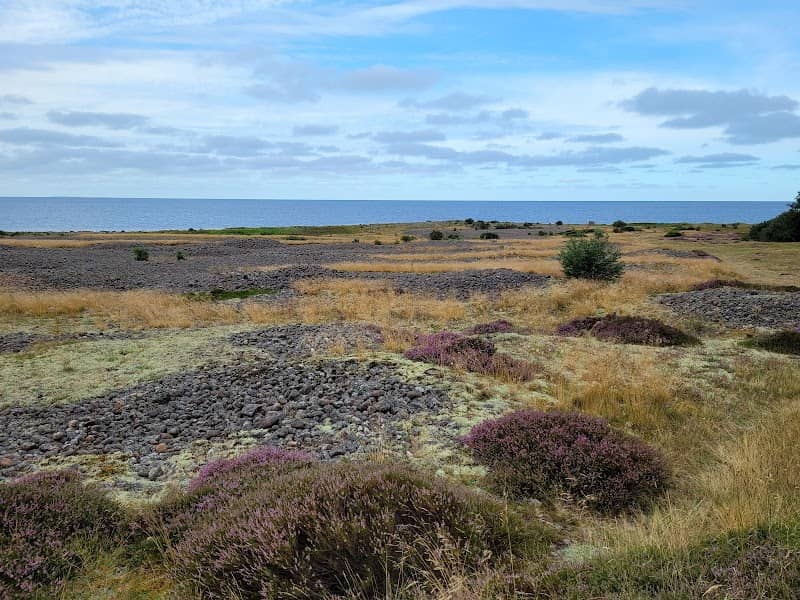 Påarps gravfält - Image 1