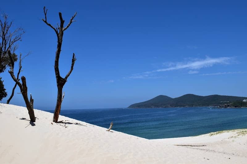 One Mile Sand Dune - Image 1