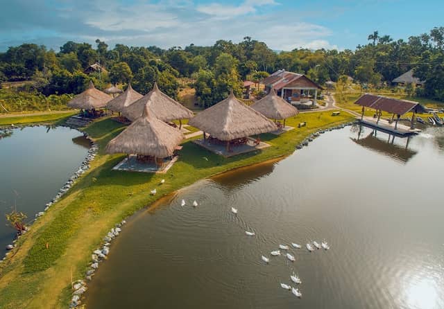 South Farm Panglao Bohol - Image 1