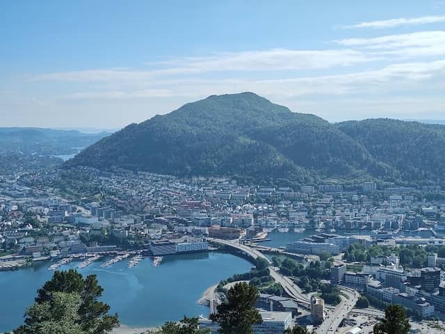 The Fløyen goats - Image 2
