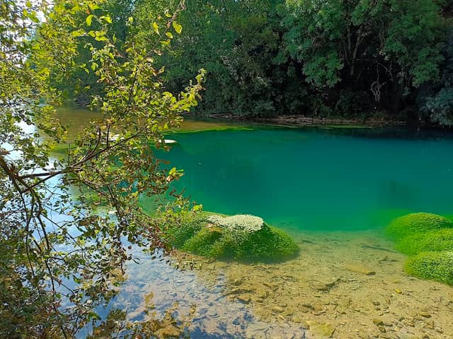 Sources de la Touvre - Image 1