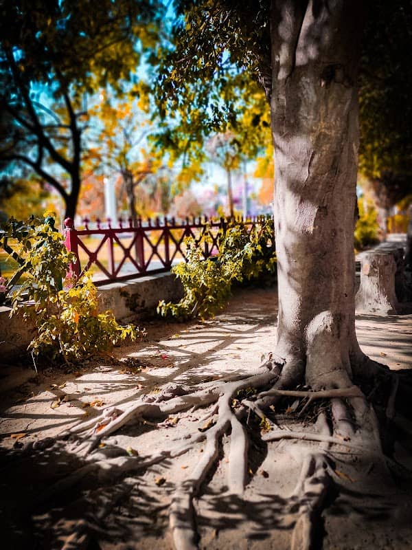 Park - Image 1