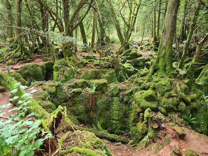 Puzzlewood - Image 1