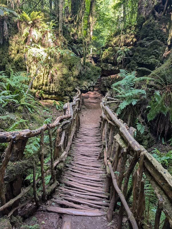 Puzzlewood - Image 2