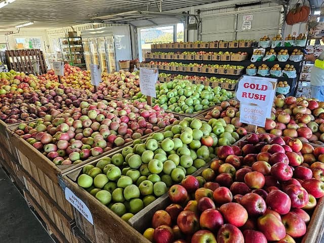 Knob Creek Orchard - Image 1