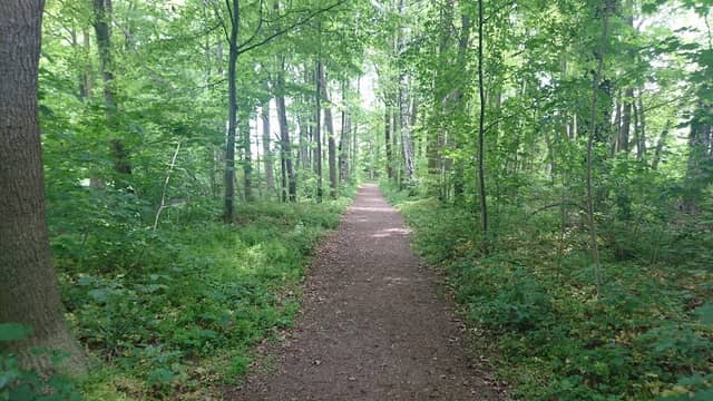 Schloßpark Benndorf - Image 1