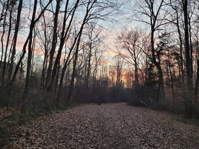 Bailes Ridge Nature Trail - Image 1