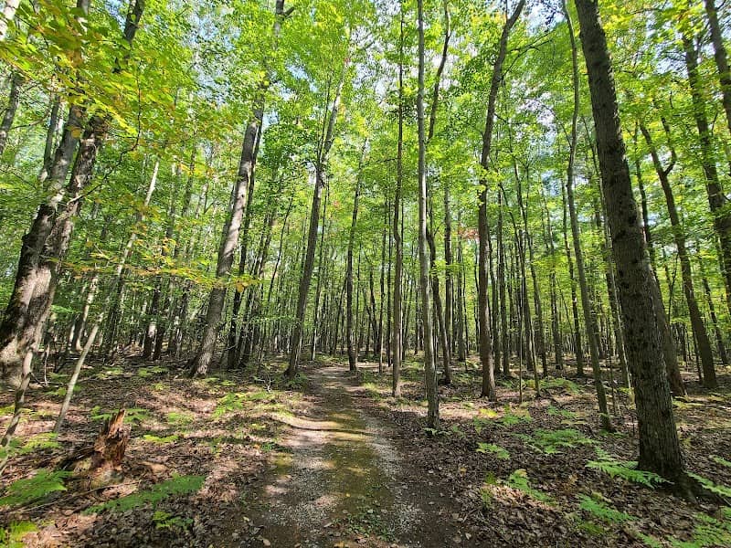 Chippewa Nature Center - Ridge Area - Image 2