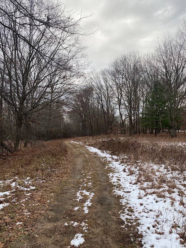 Chippewa Nature Center - Ridge Area - Image 1
