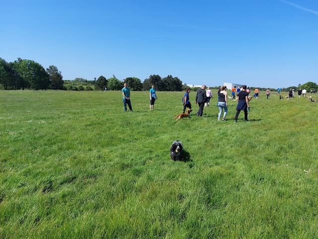 Wigmore Valley Park - Image 1