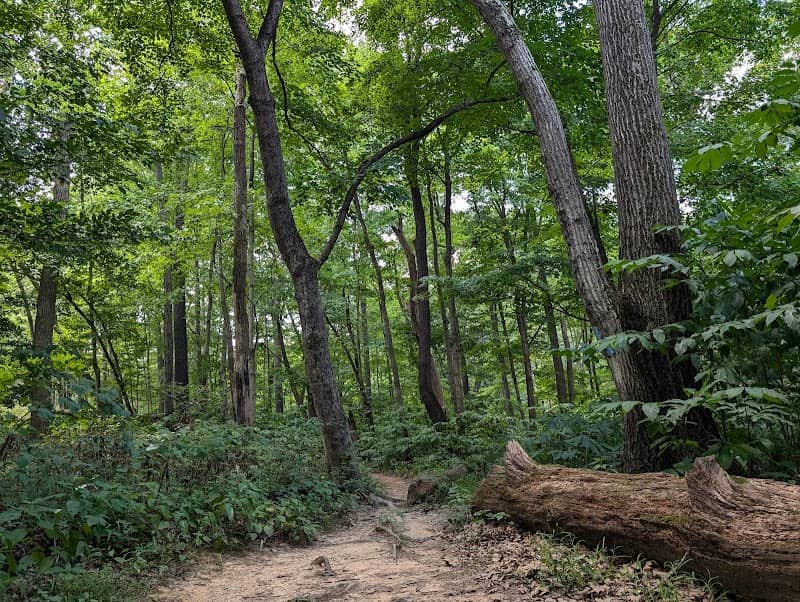 Edwards Landing Park - Image 2