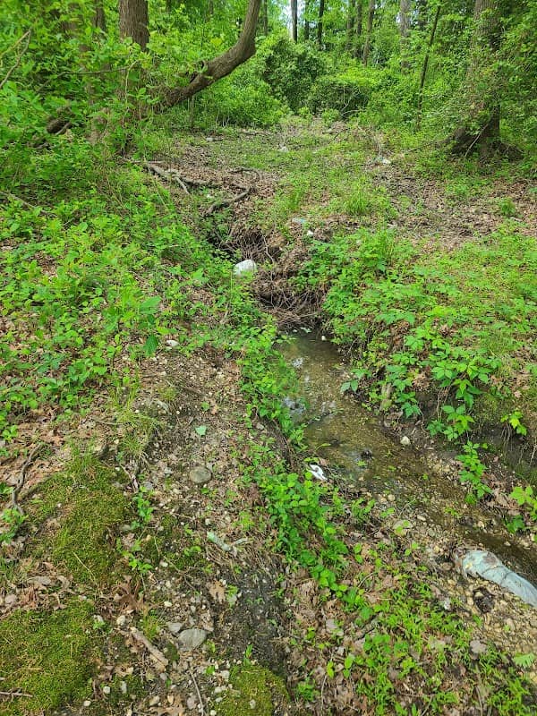 St. Charles Lake Trail - Image 1